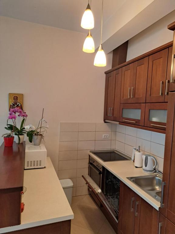Kuhinja oz. manjša kuhinja v nastanitvi Apartment Benvenuti