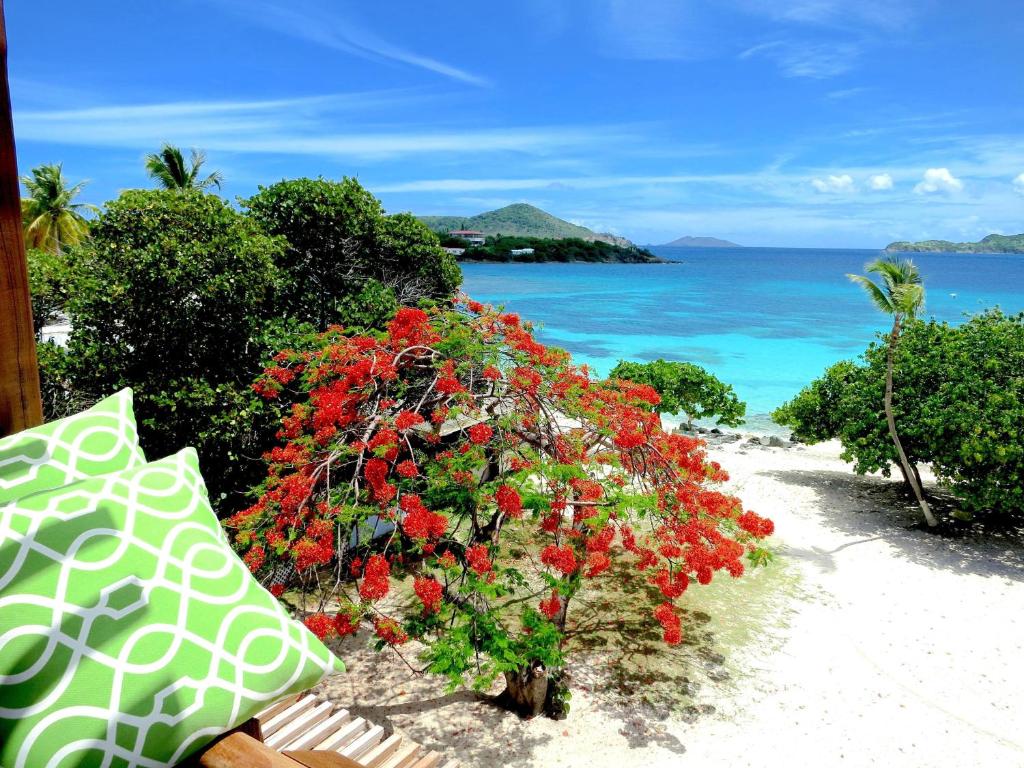 una fila de arbustos con flores rojas en una playa en Luxury Beachfront Duplex Villa on Sapphire Beach I en East End