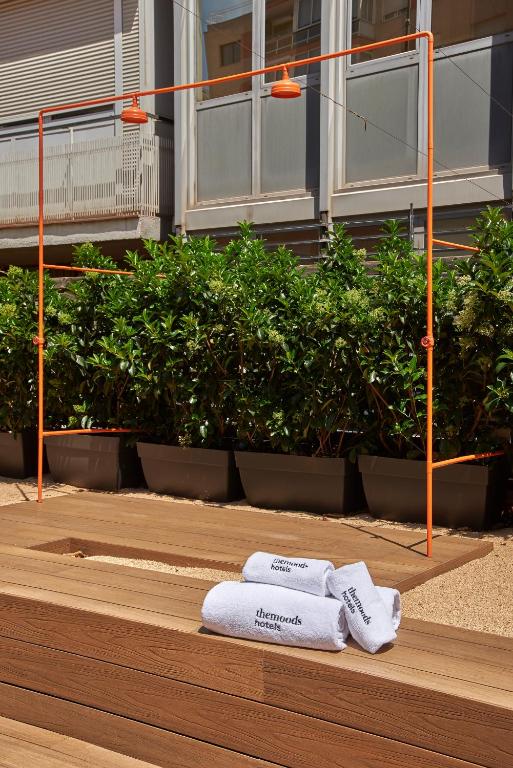 The Moods Oasis - Resim 35