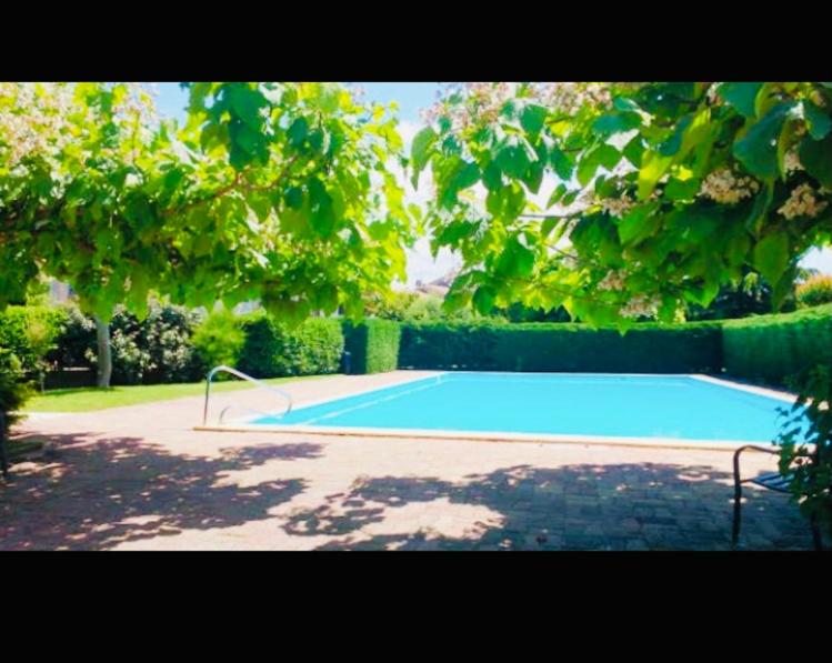 a blue swimming pool in a yard with trees at Maison piscine Bassin Arcachon in La Teste-de-Buch