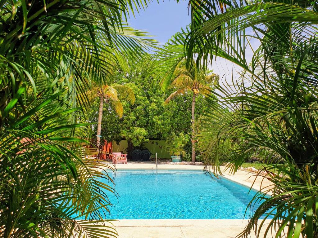 una piscina con palmeras en el primer plano en Abaai Resort B&B, en Willemstad