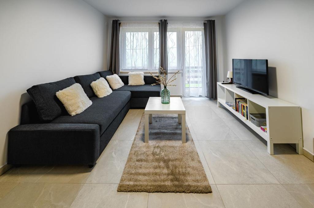 TV a/nebo společenská místnost v ubytování Apartma na hribu
