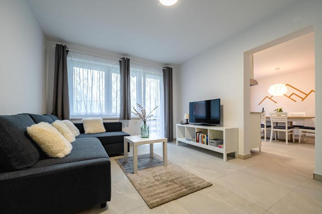 TV a/nebo společenská místnost v ubytování Apartma na hribu