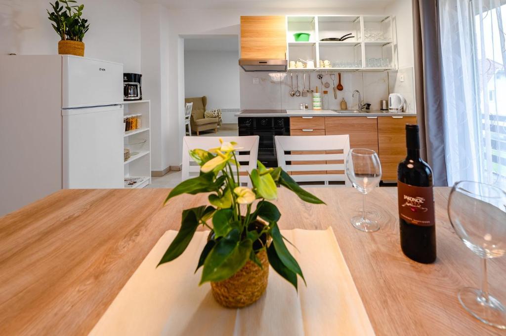 Kuchyň nebo kuchyňský kout v ubytování Apartma na hribu