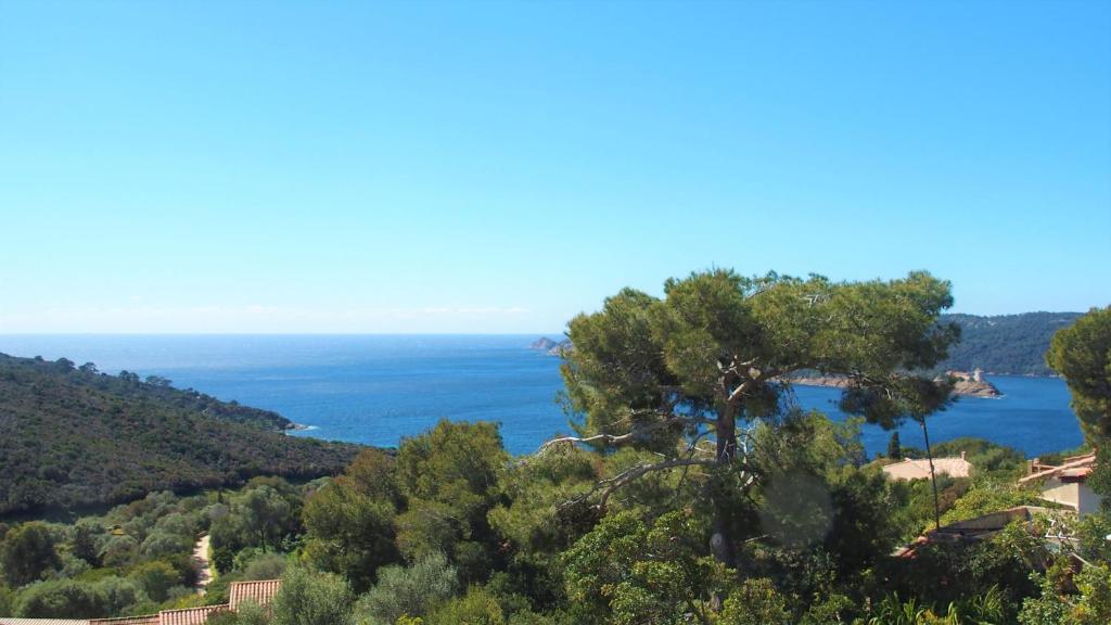a view of the ocean from a hill with a tree at La roche aux mouettes in Hyères