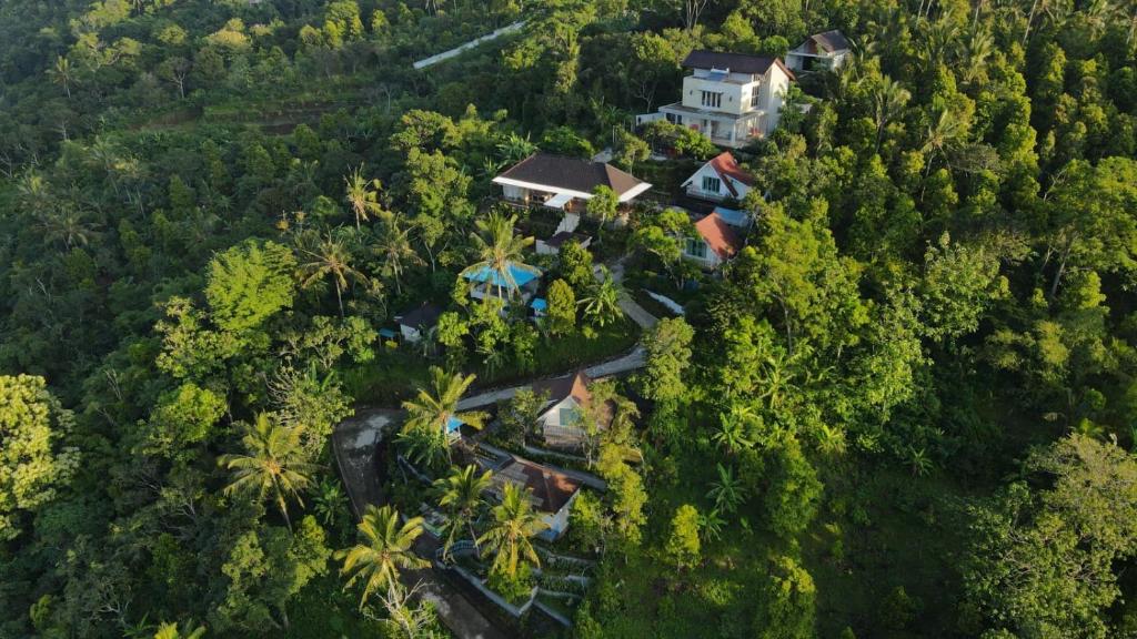 - une vue aérienne sur une maison dans la forêt dans l'établissement Ling & Louie's Mountain, à Mayong