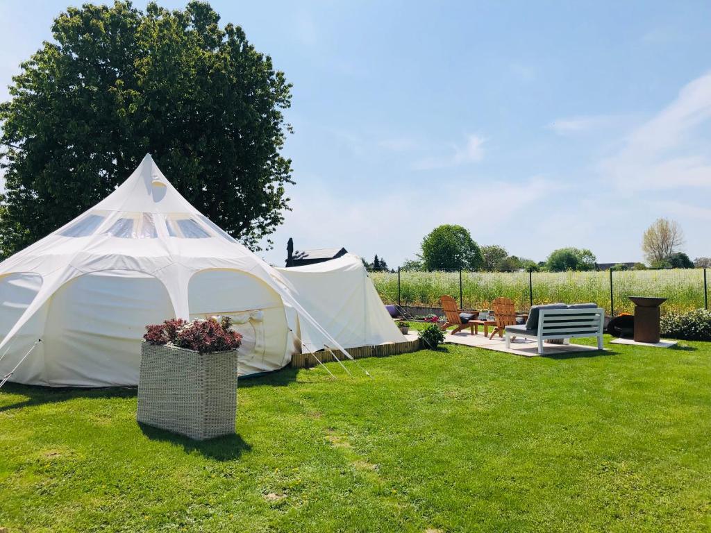 Zahrada ubytování Luxe Glamping Moonlight