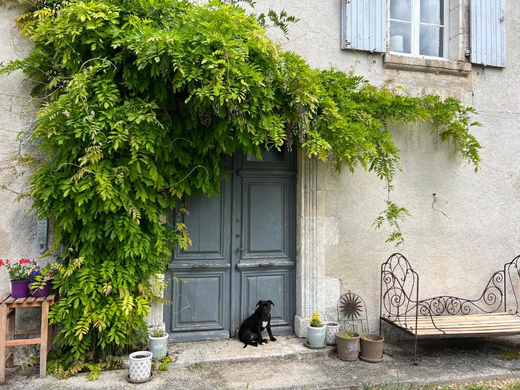 een zwarte hond die voor een deur zit bij Le Loriot in Champagne-et-Fontaine