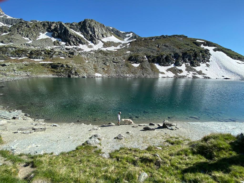 una persona de pie en la orilla de un lago en Studio Lac Noir, en Chandolin