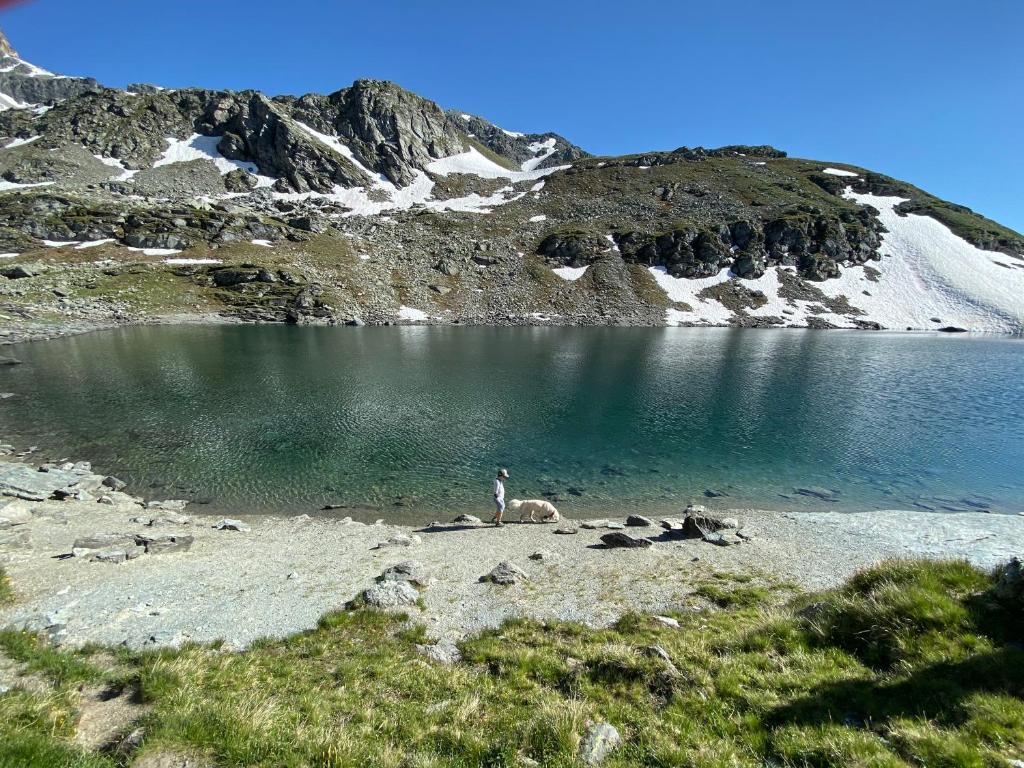 a person standing on the shore of a lake at Studio Lac Noir in Chandolin