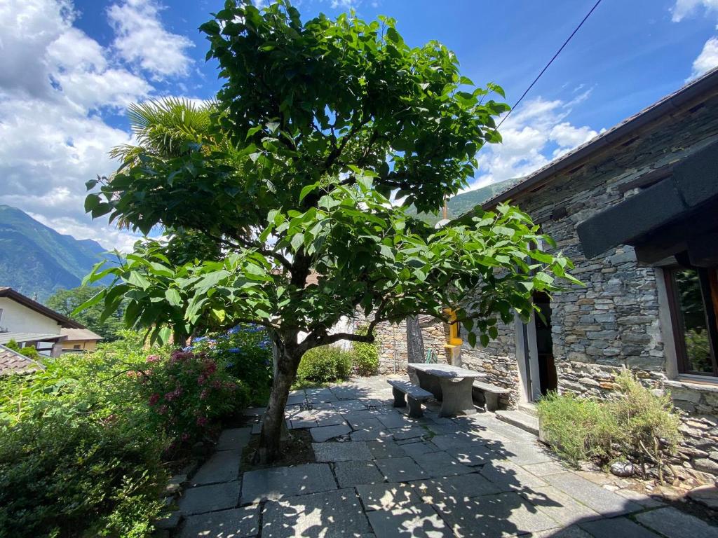 山景或在度假屋看到的山景