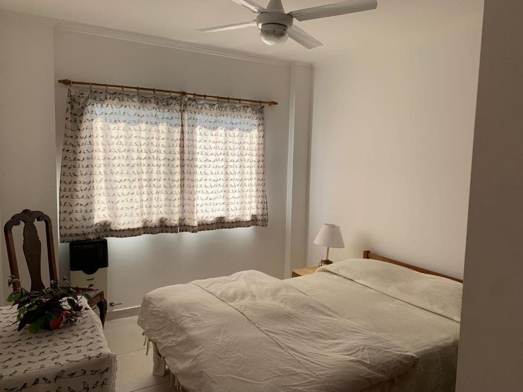 1 dormitorio con 1 cama y ventilador de techo en Torre Mitre en Concordia