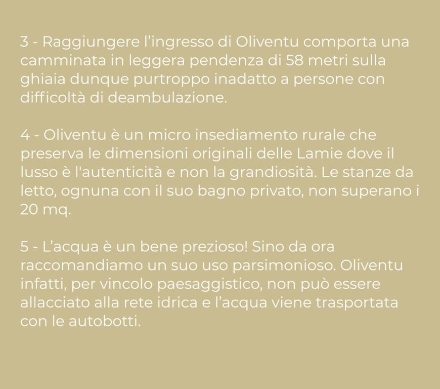 Fotografie z fotogalerie ubytování Oliventu - Tra gli ulivi sul mare v destinaci Leuca