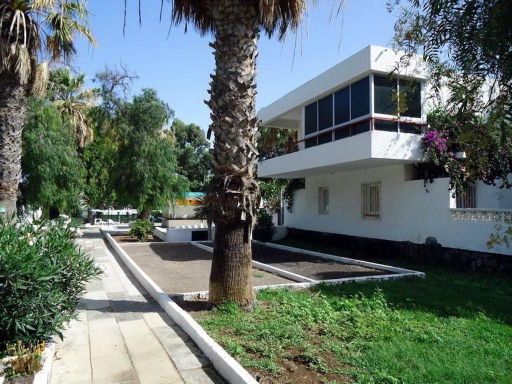 a palm tree in front of a white building at Cozy studio in Costa del Silencio in the south coast of Tenerife in Costa Del Silencio