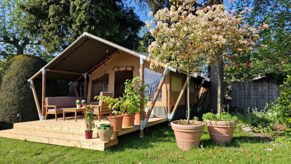 ein kleines Holzhaus mit Topfpflanzen im Hof in der Unterkunft Happiness in Brügge