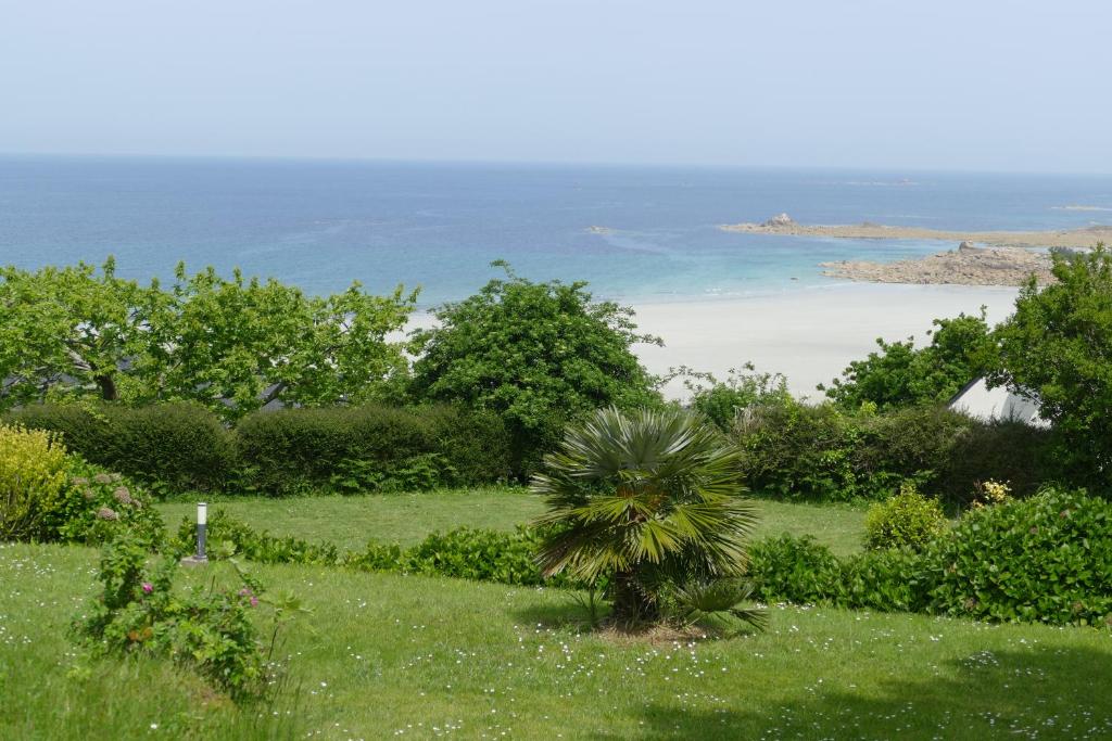 a palm tree in a field with the ocean in the background at Kerbugalic Grand gîte, Magnifique vue mer in Trévou-Tréguignec