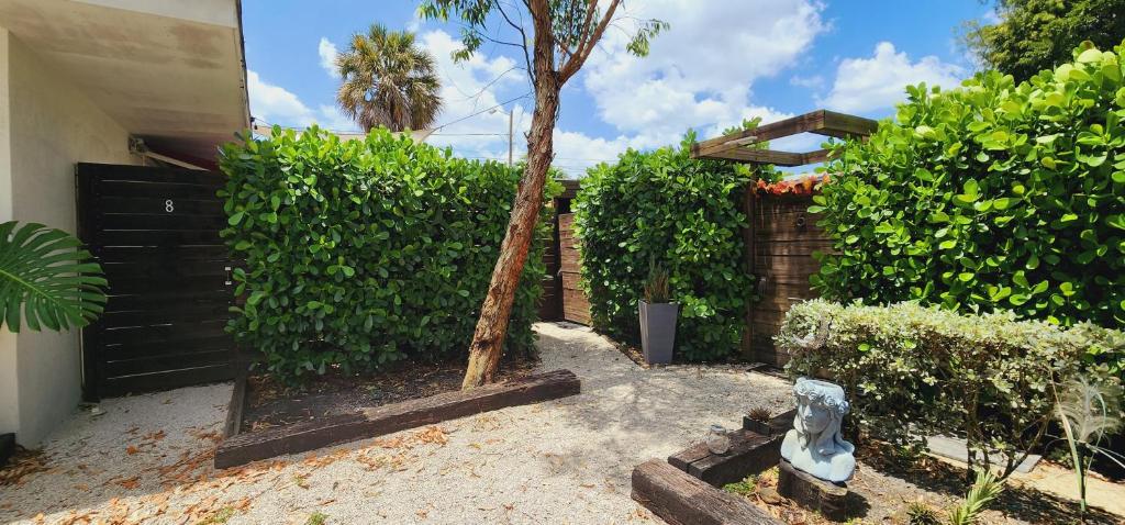 un pequeño árbol en un patio junto a una valla en Private Aparment Studio in the hard of Miami unit # 6, en Opa-locka