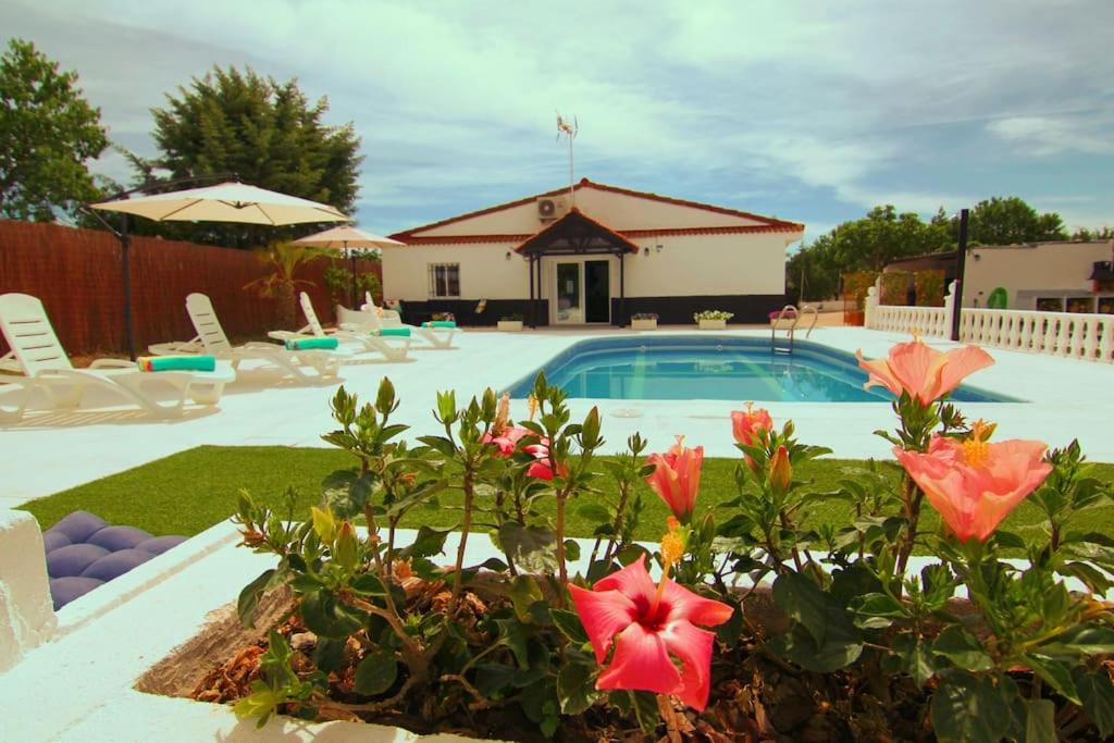 - une piscine fleurie dans une cour dans l'établissement Casa Las Colinas, à Illana