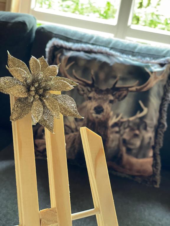 Posezení v ubytování Chalet Sint-Hubertus Deluxe