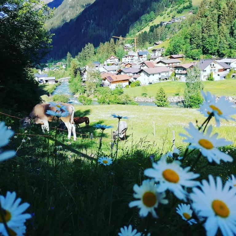 Príroda v okolí apartmánu