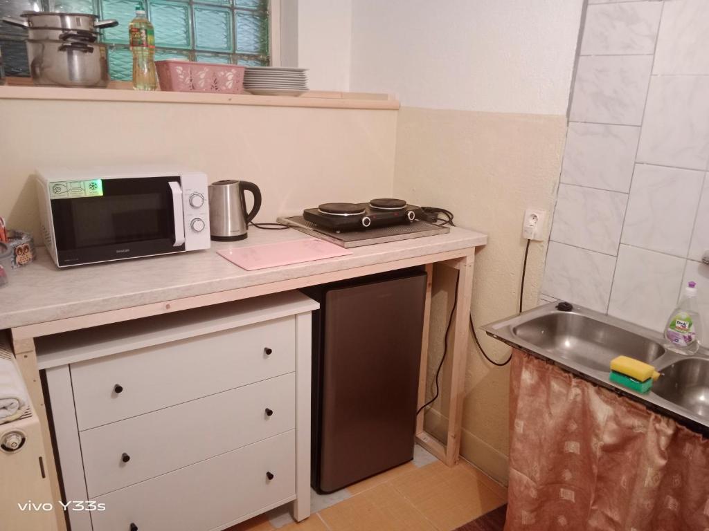 una piccola cucina con forno a microonde e lavandino di Lucerna a Hřensko