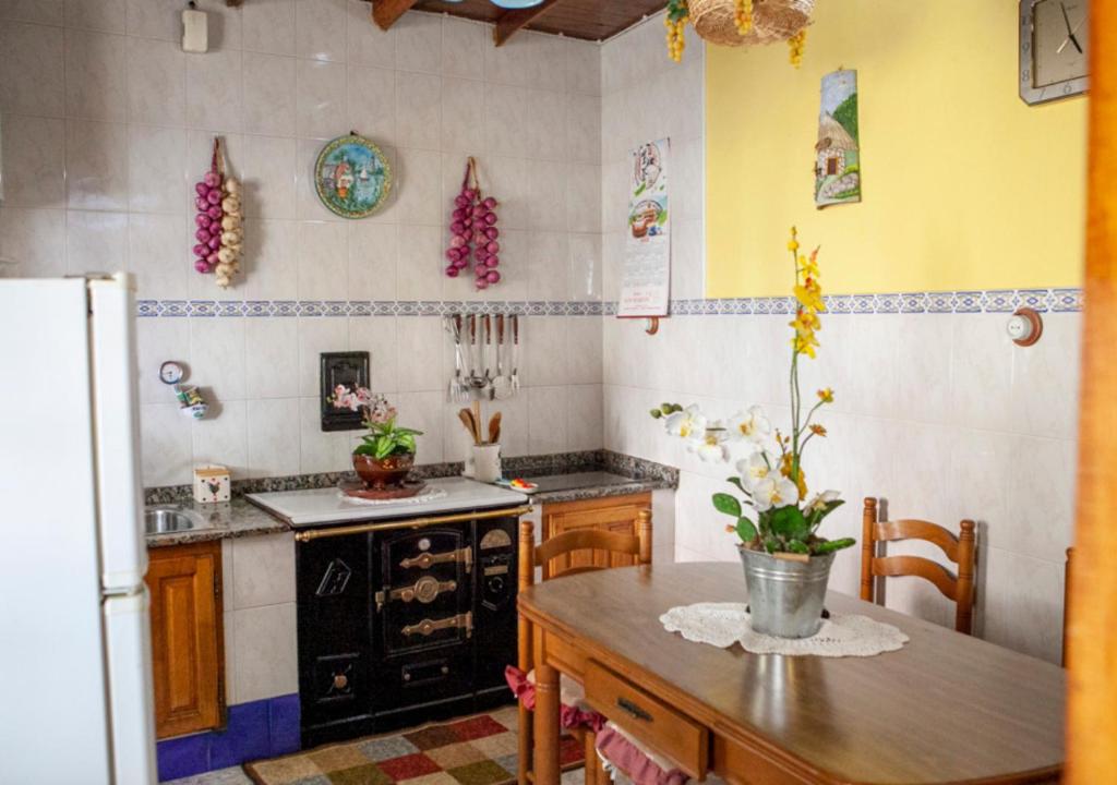 Kuchyň nebo kuchyňský kout v ubytování Casa Rural La Aldea