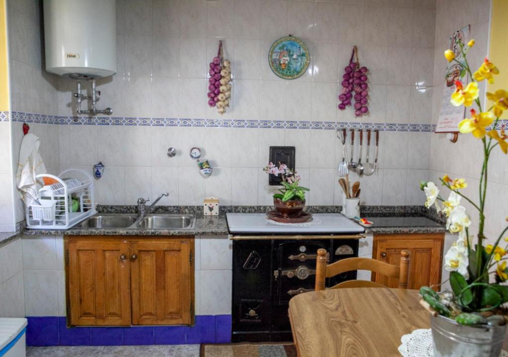 Kuchyň nebo kuchyňský kout v ubytování Casa Rural La Aldea