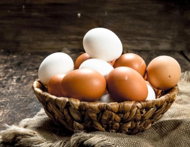 Eco village & resort Coric - 4