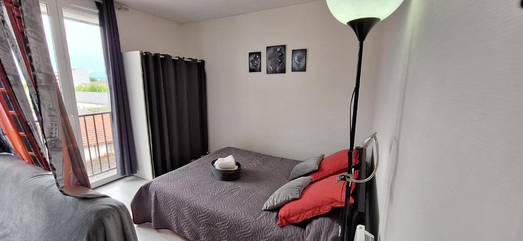 ein Schlafzimmer mit einem Bett und einer Stehlampe in der Unterkunft T1 avec parking plein sud centre de Tarbes in Tarbes