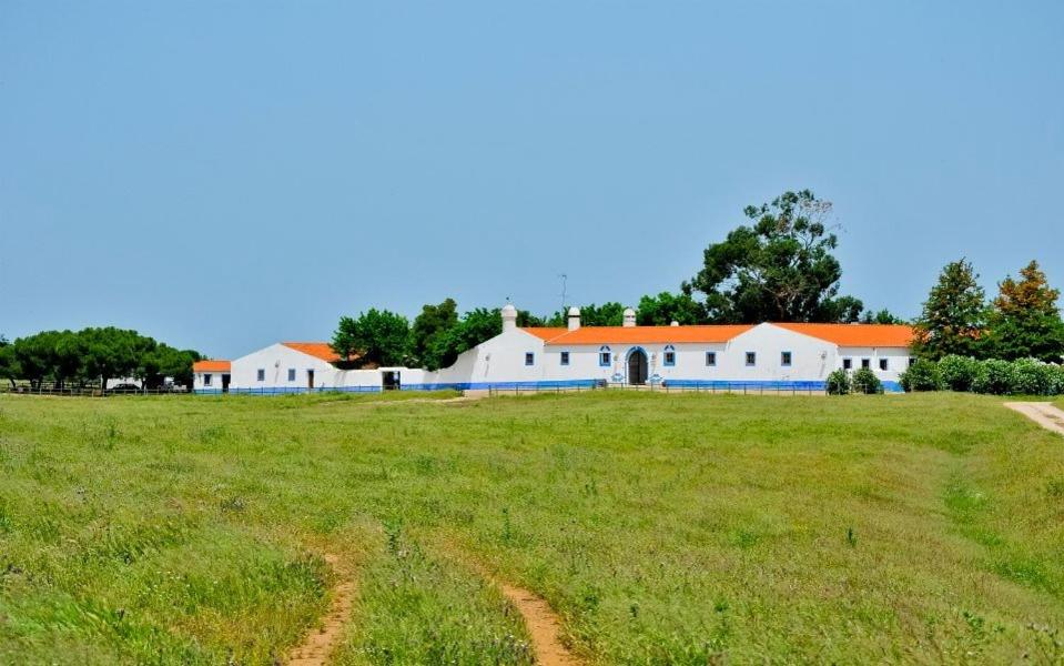 un gran campo con un edificio blanco en el fondo en Herdade da Negrita, en Santo Aleixo