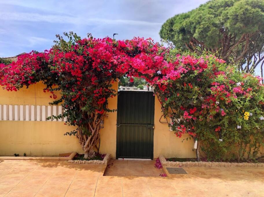Vonkajšia záhrada v ubytovaní Villa in La Barrosa - 700m from the beach
