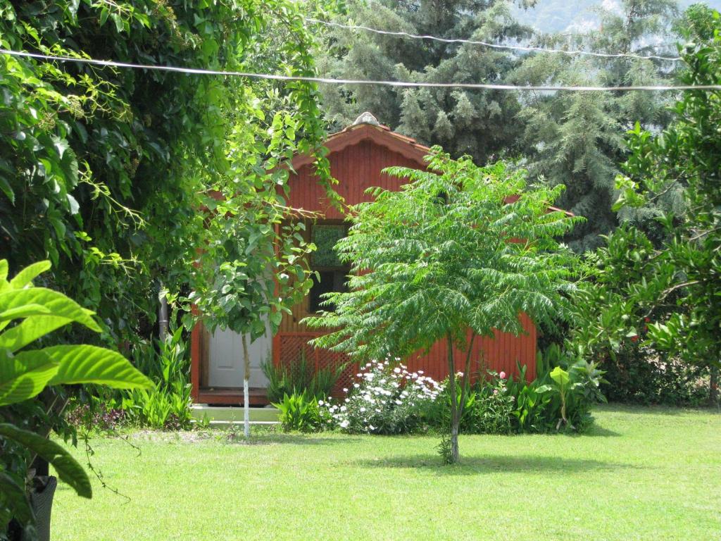キラリにあるアリババ ペンションの赤い家を背景にした庭