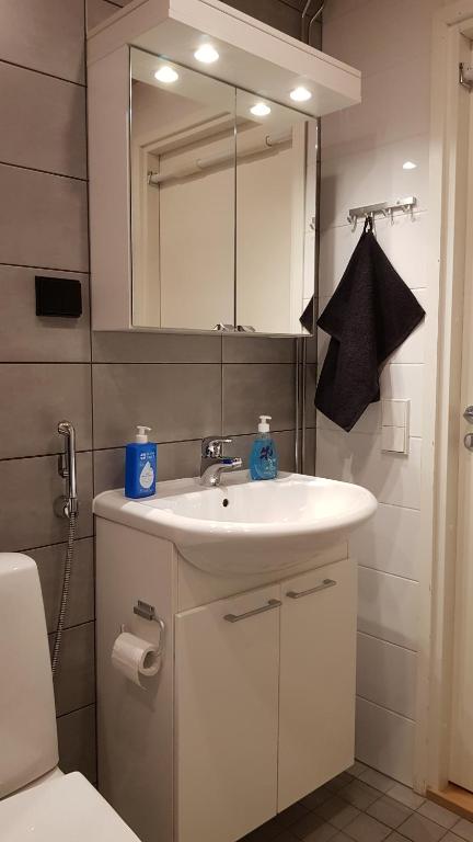 uma casa de banho com um lavatório branco e um espelho. em Hyvän unen huoneisto em Rovaniemi