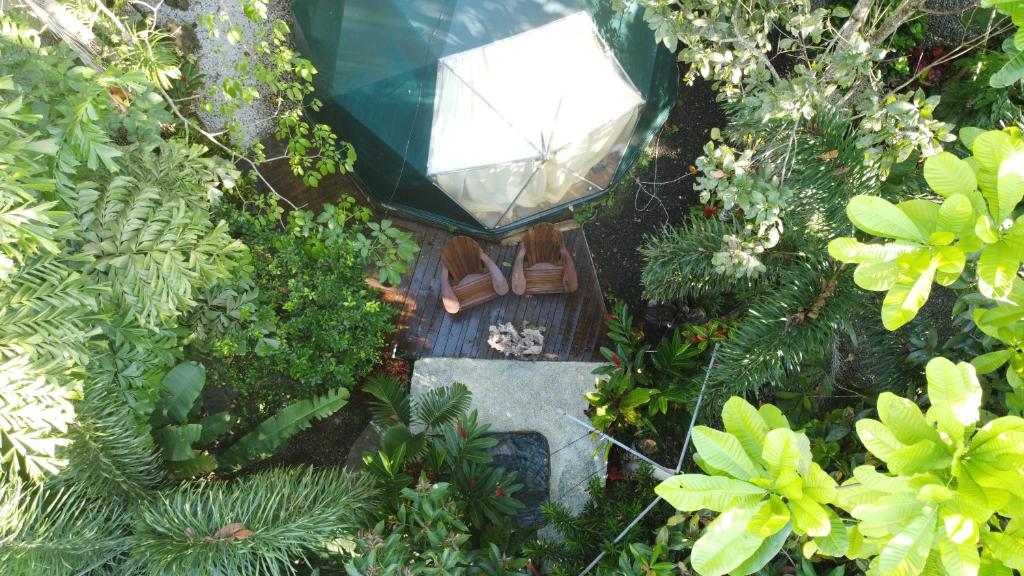 an overhead view of a garden with a bench at Momotus Glamping in Florencia