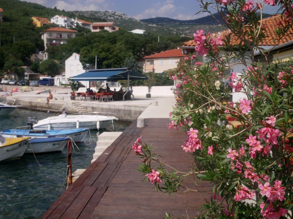 Príroda v okolí apartmánu