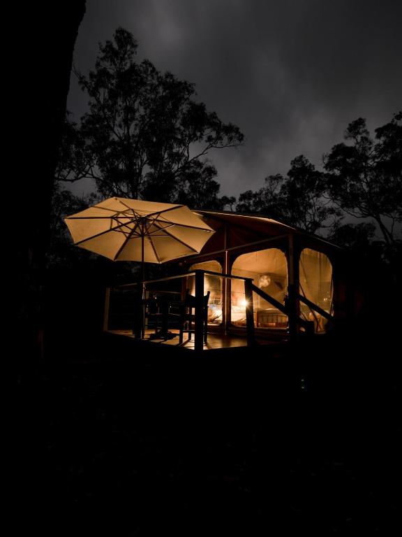 Fotografie z fotogalerie ubytování Wild Nature Lodge, Mareeba Wetlands v destinaci Biboohra