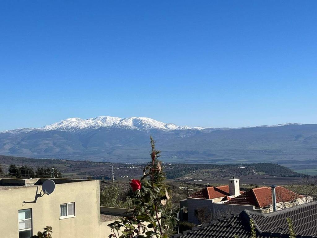 a christmas tree in front of a snow covered mountain at שלווה בהר in Malkiyya