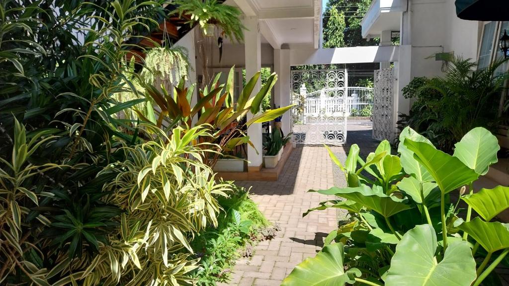 Zahrada ubytování Surokarsan 9 House Yogyakarta