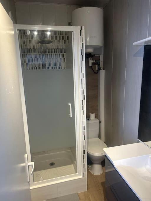 a bathroom with a toilet and a glass shower at F2 Bohémien au centre ville in Corbeil-Essonnes