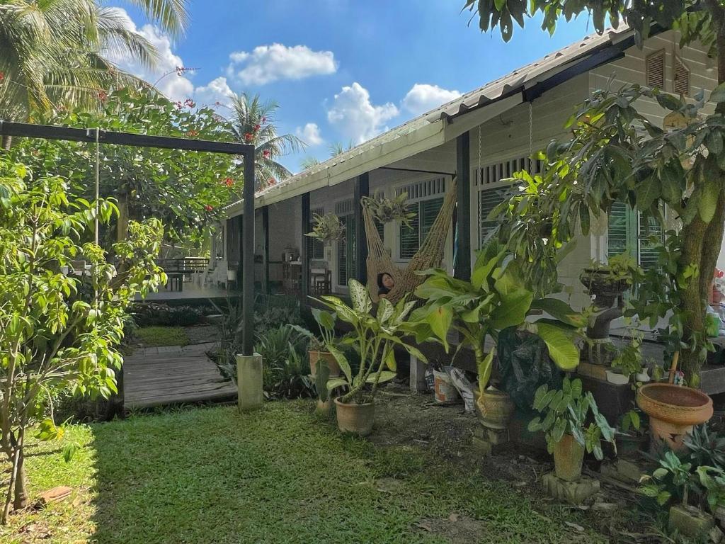 Zahrada ubytování ComeHome Lamphun