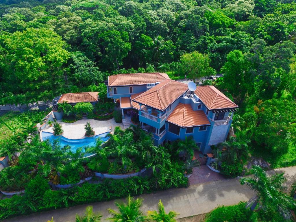 an aerial view of a house with a pool and trees at Casa Lynda - 3 Bedrooms in West Bay
