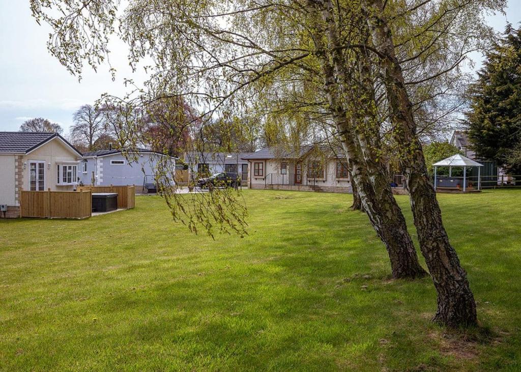 a yard with a tree and a house at Cleveland Hills View Holiday Park in Middleton upon Leven