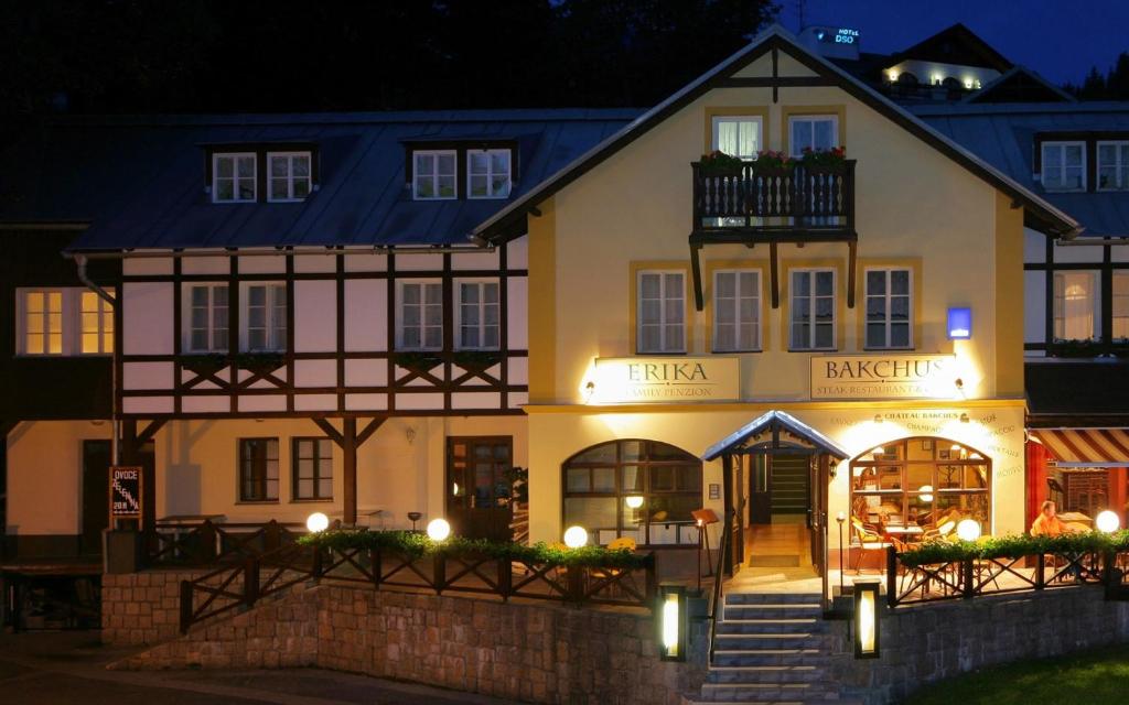 Photo de la galerie de l'établissement Hotel Erika, à Špindlerův Mlýn