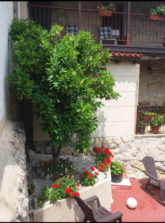 Fotografie z fotogalerie ubytování CASA JS v destinaci Ourense