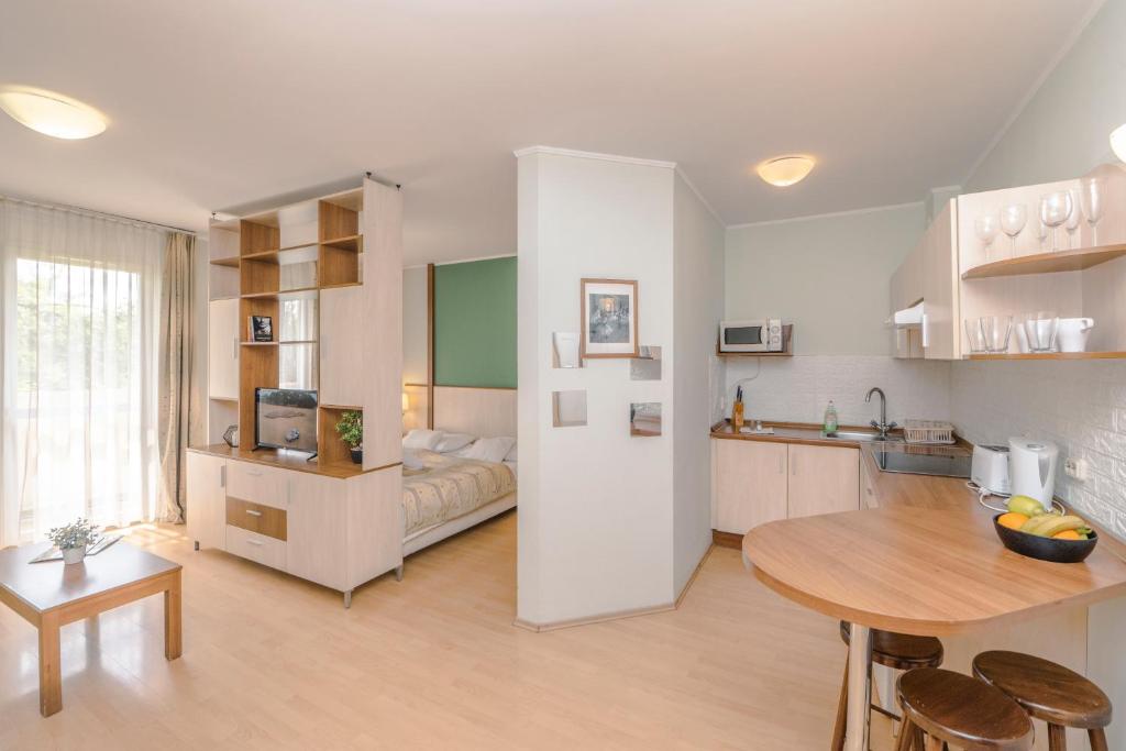 Kuchyňa alebo kuchynka v ubytovaní Premium Apartments