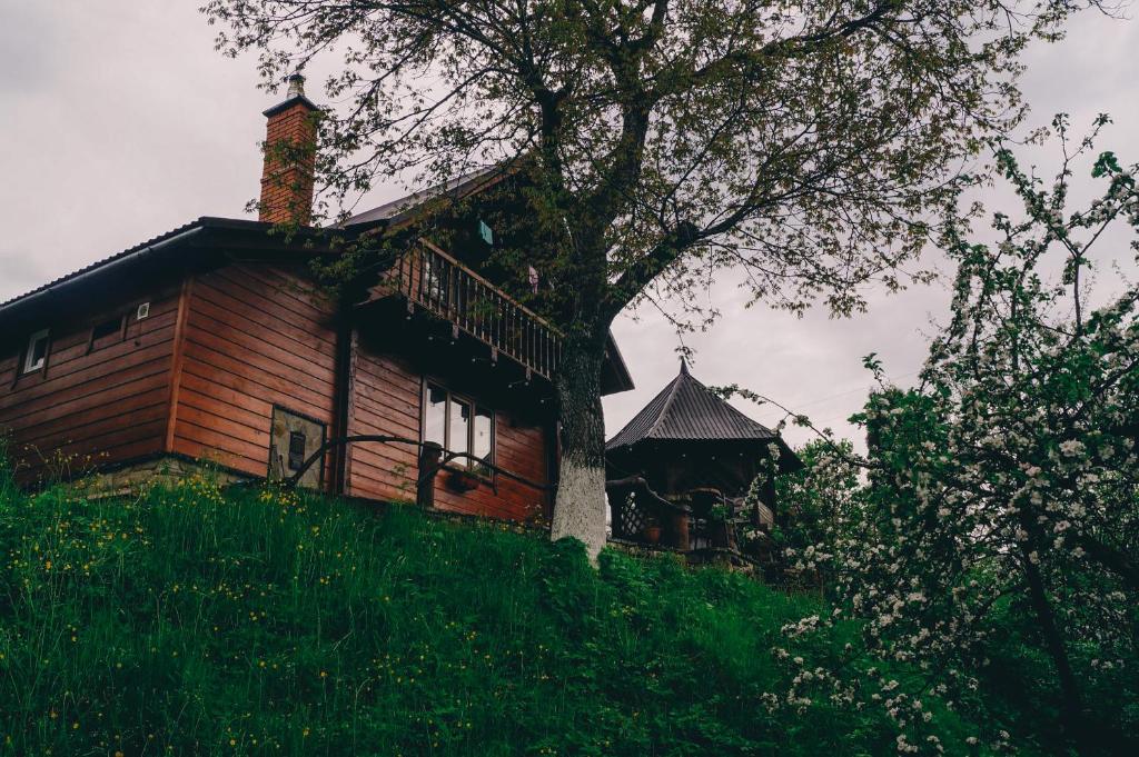 drewniany dom na szczycie wzgórza z drzewem w obiekcie Будиночок в Карпатах w Jaremczach