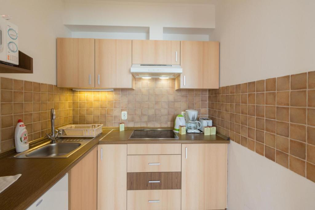 Kuchyňa alebo kuchynka v ubytovaní Premium Apartments