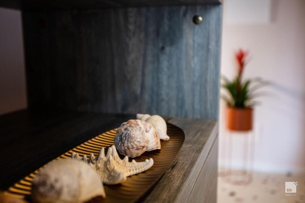 The Lady C - High Apartments - 10