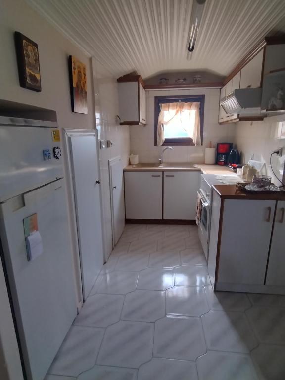 里托楚倫的住宿－ΖΕΦΥΡΟΣ，一间小厨房,配有白色家电和窗户