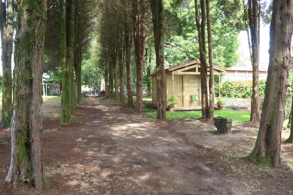 Vonkajšia záhrada v ubytovaní Pazo de Ceilán